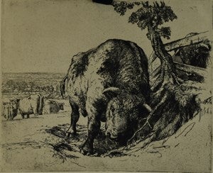 Image description is not available for DU1944.16